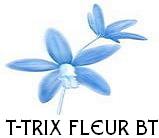 T-trix Fleur Bt